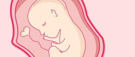 湖北试管婴儿助孕机构盘点：哪家机构试管婴儿技术更卓越？