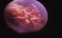 2026年获取长沙助孕公司联系电话与成功率完整指南