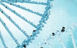 试管婴儿的流程及费用详解